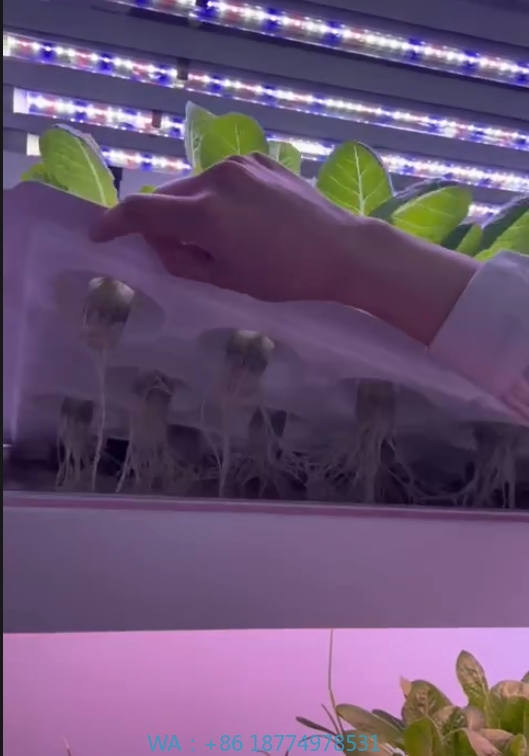 Agriculture Farming Systems - f Attrezzature agricole per serra Coltiva