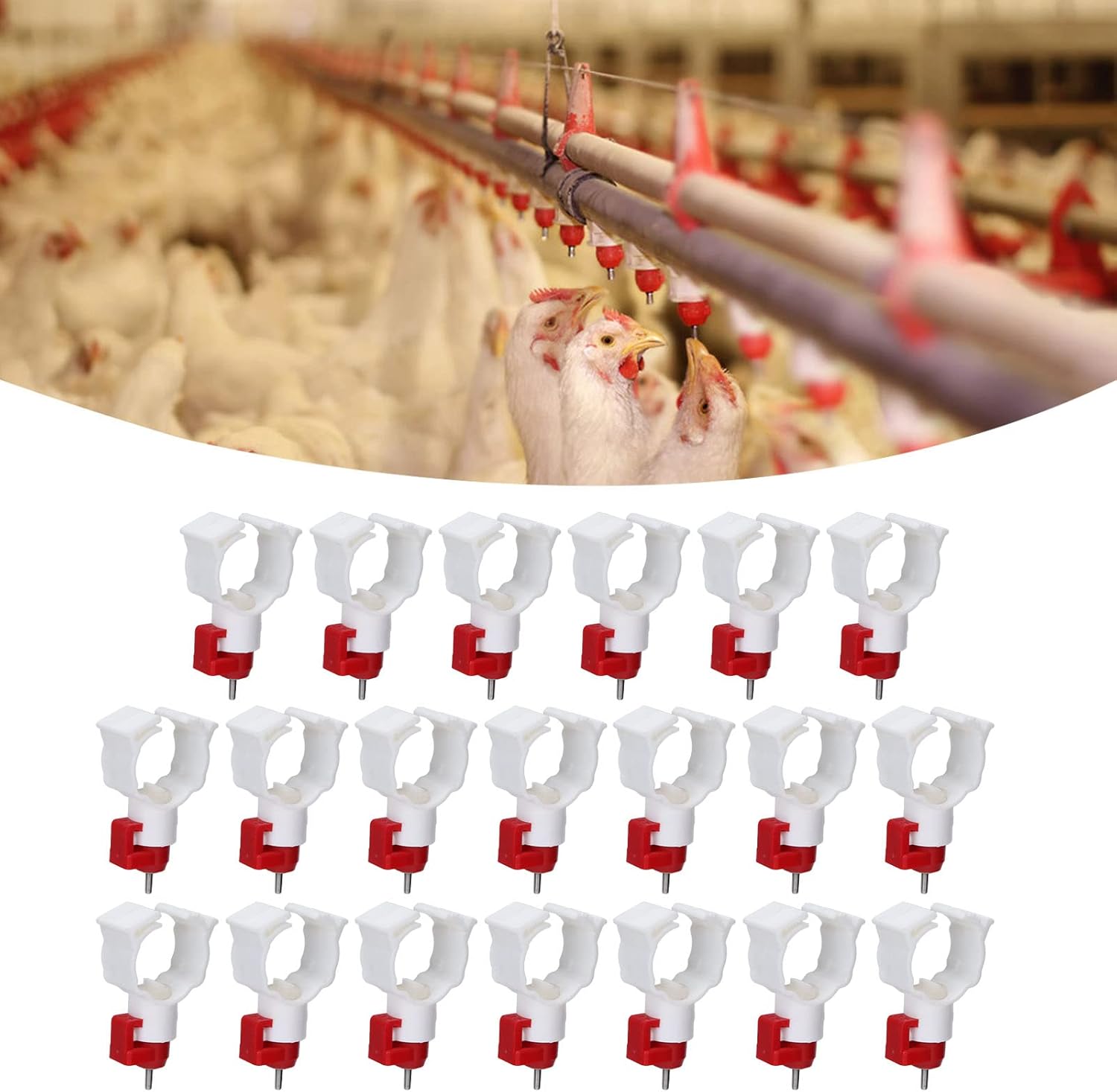 Chicken Nipple Drinker - Abbeveratoio per capezzoli per pollo da