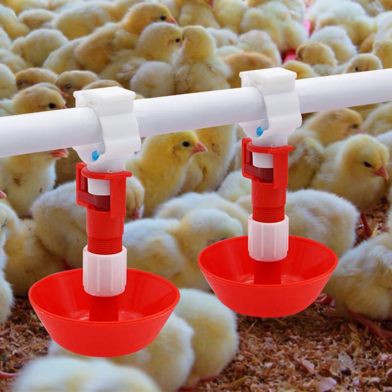 5/10/20 Pcs Automatico Pollo A - Chicken Nipple Drinker recensione e prezzo
