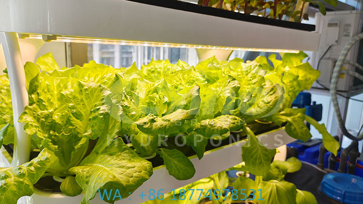 c Macchina agricola per coltiv - Agriculture Farming Systems recensione e prezzo